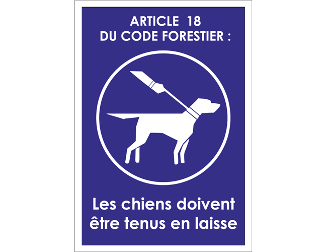 Panneau chien en laisse